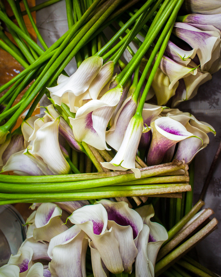 overheadflowers
